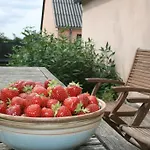 Sandaasen Ecological Farm Хиллерёд