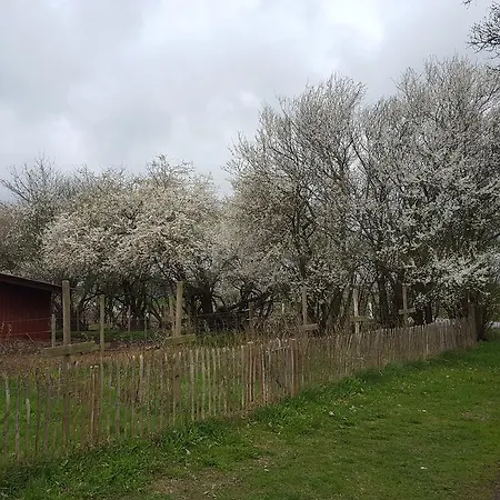 Apartment Sandaasen Ecological Farm