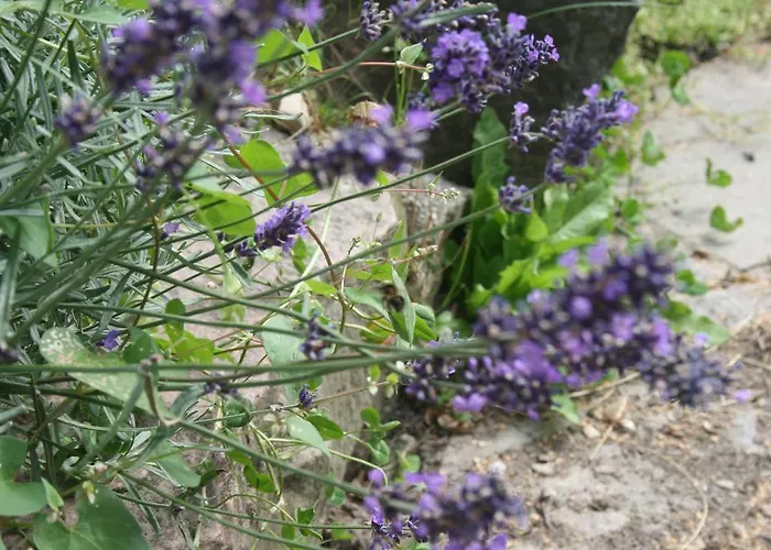 Διαμέρισμα Sandaasen Ecological Farm