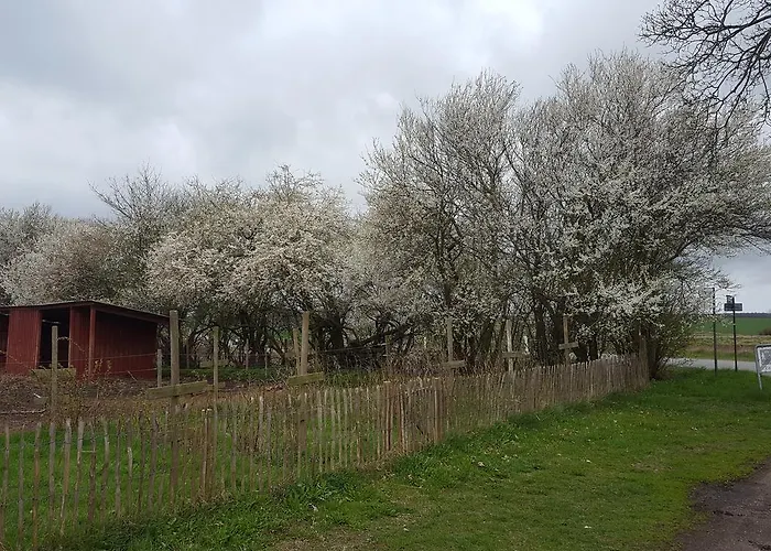 Διαμέρισμα Sandaasen Ecological Farm